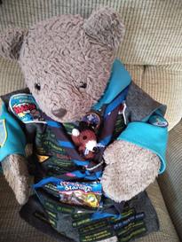 Teddy